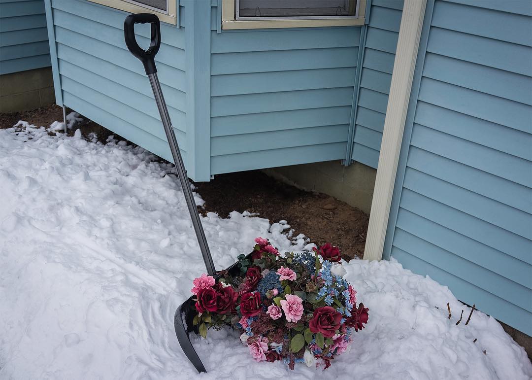 Always blooming by Brooke DiDonato