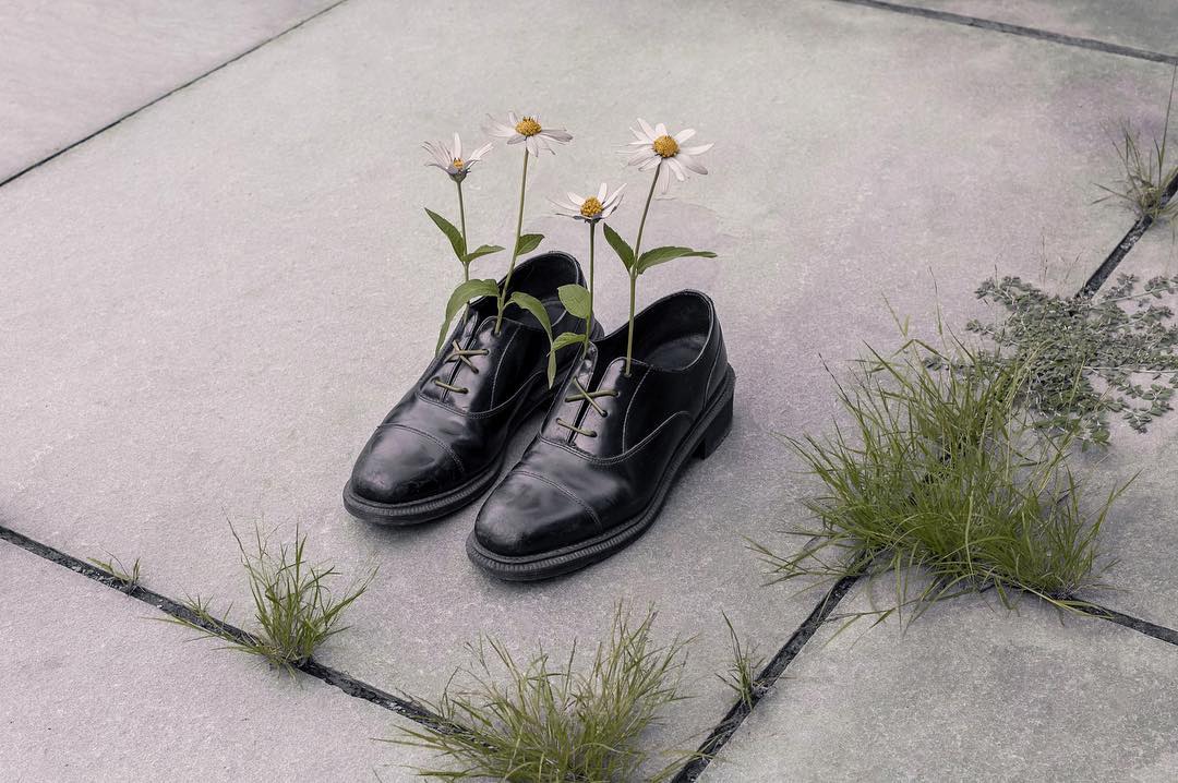 by Brooke DiDonato