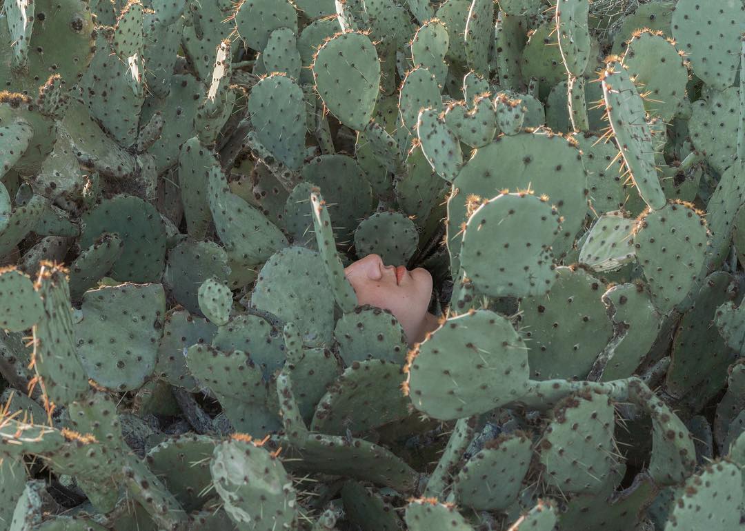 Don’t knock it till you try it by Brooke DiDonato