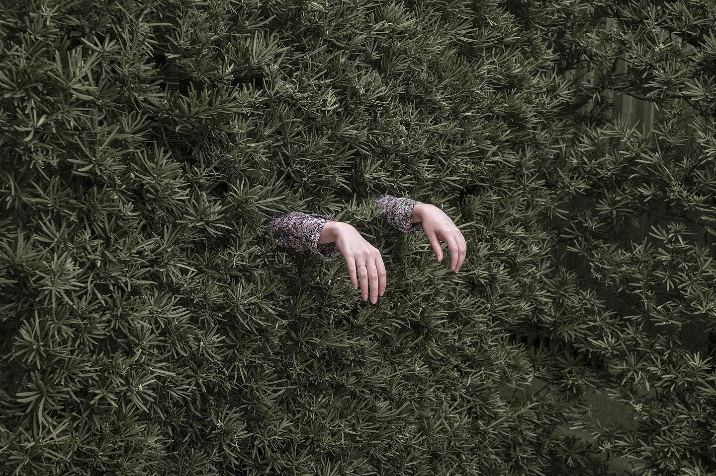 self-isolating by Brooke DiDonato